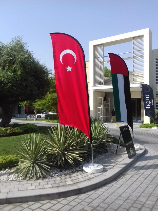 Curvetop Flags, image 20