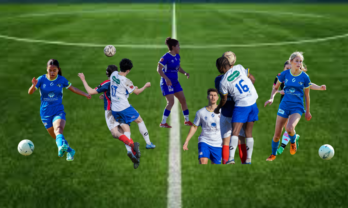 Photo of senior players