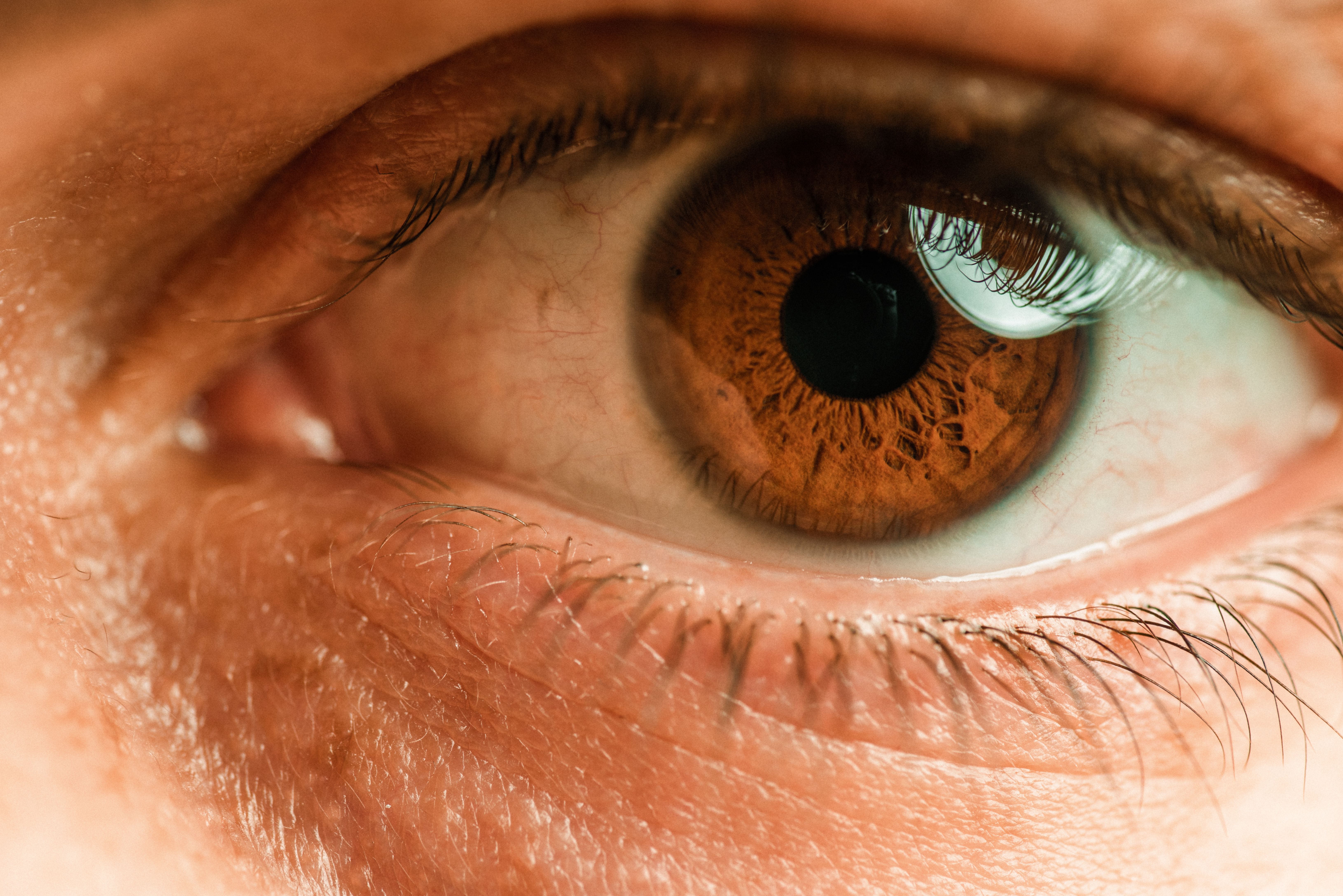 An extreme close-up of a human eye