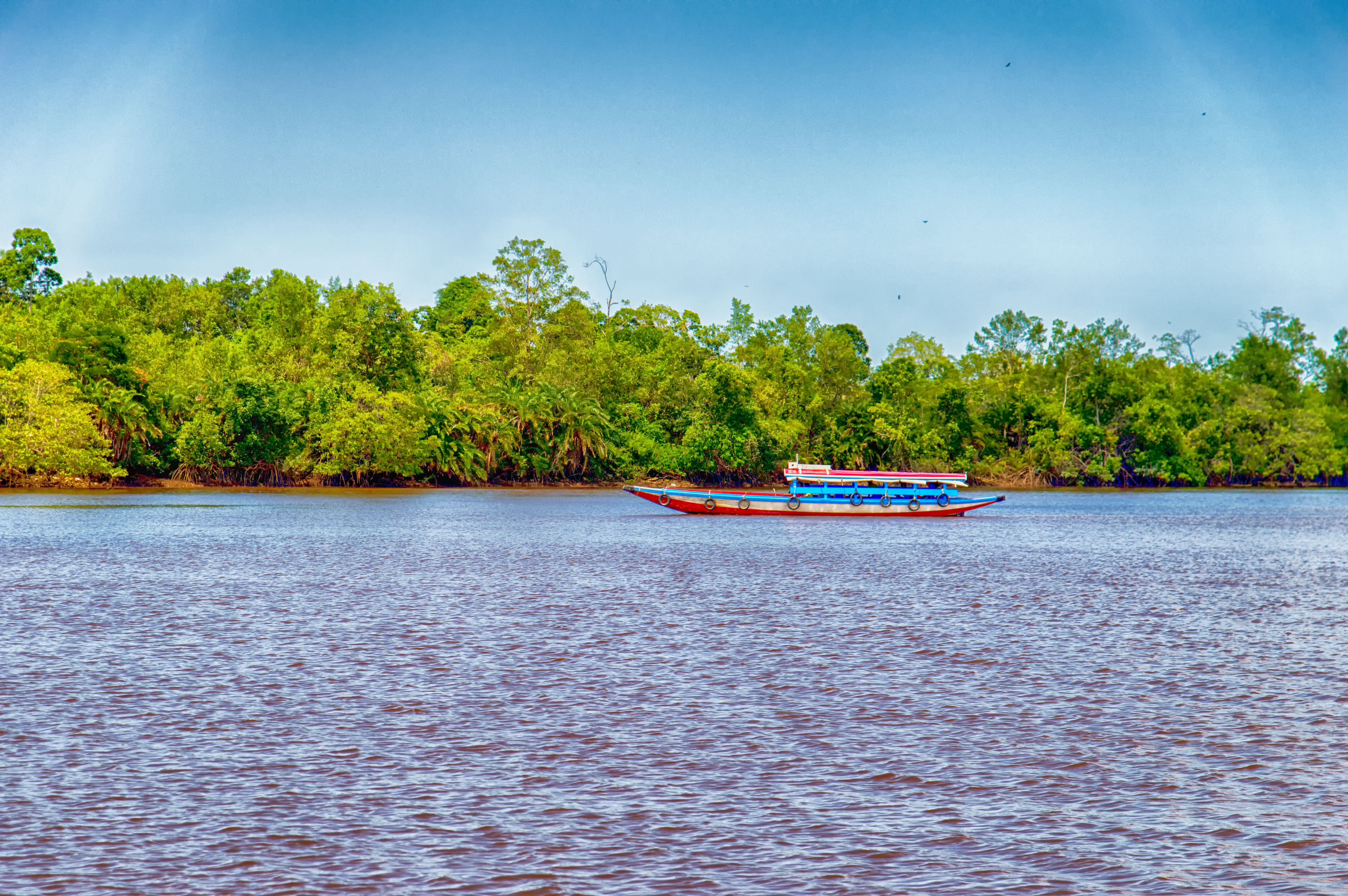 A boat on a river in Suriname