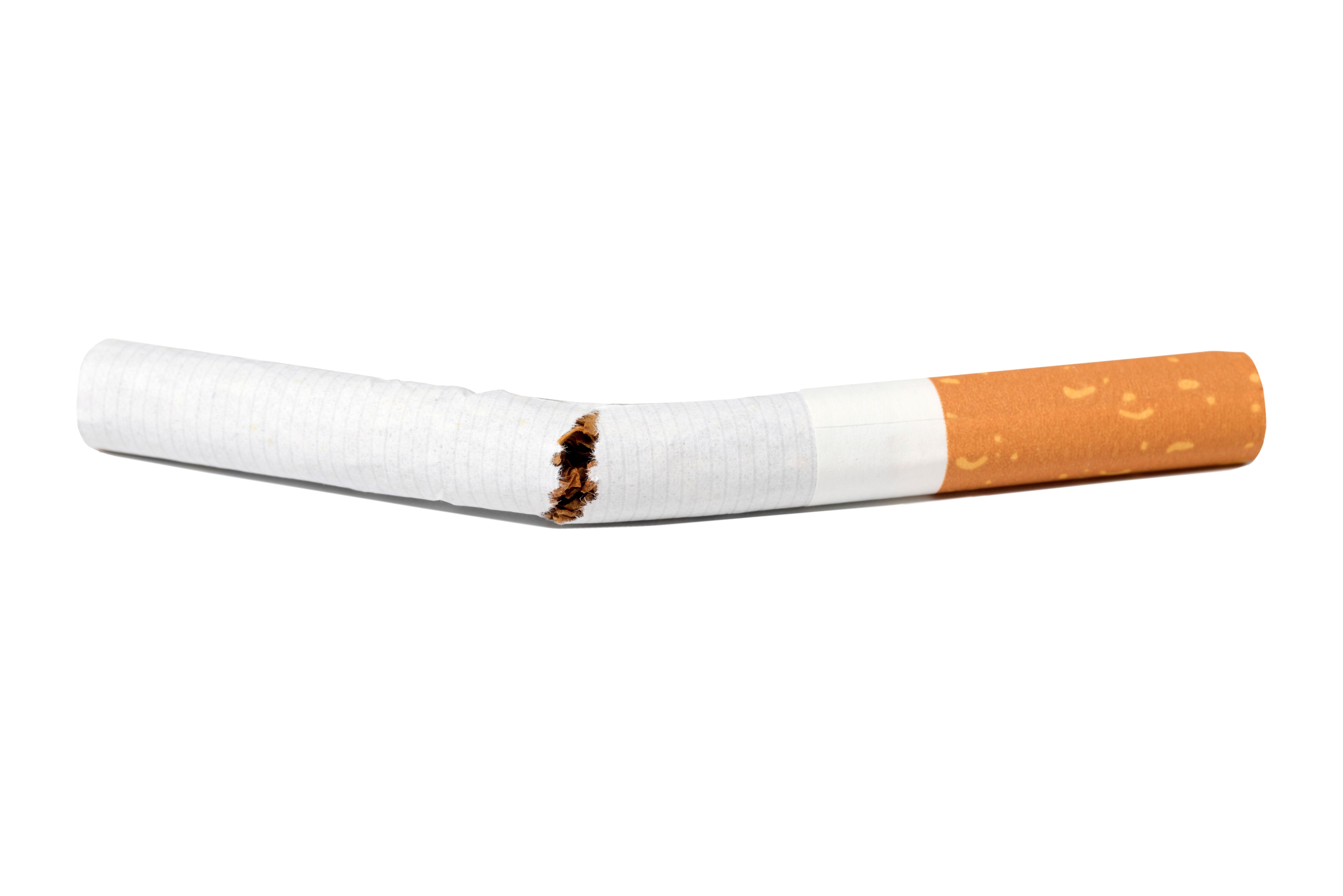 A single cigarette snapped in half on a white background