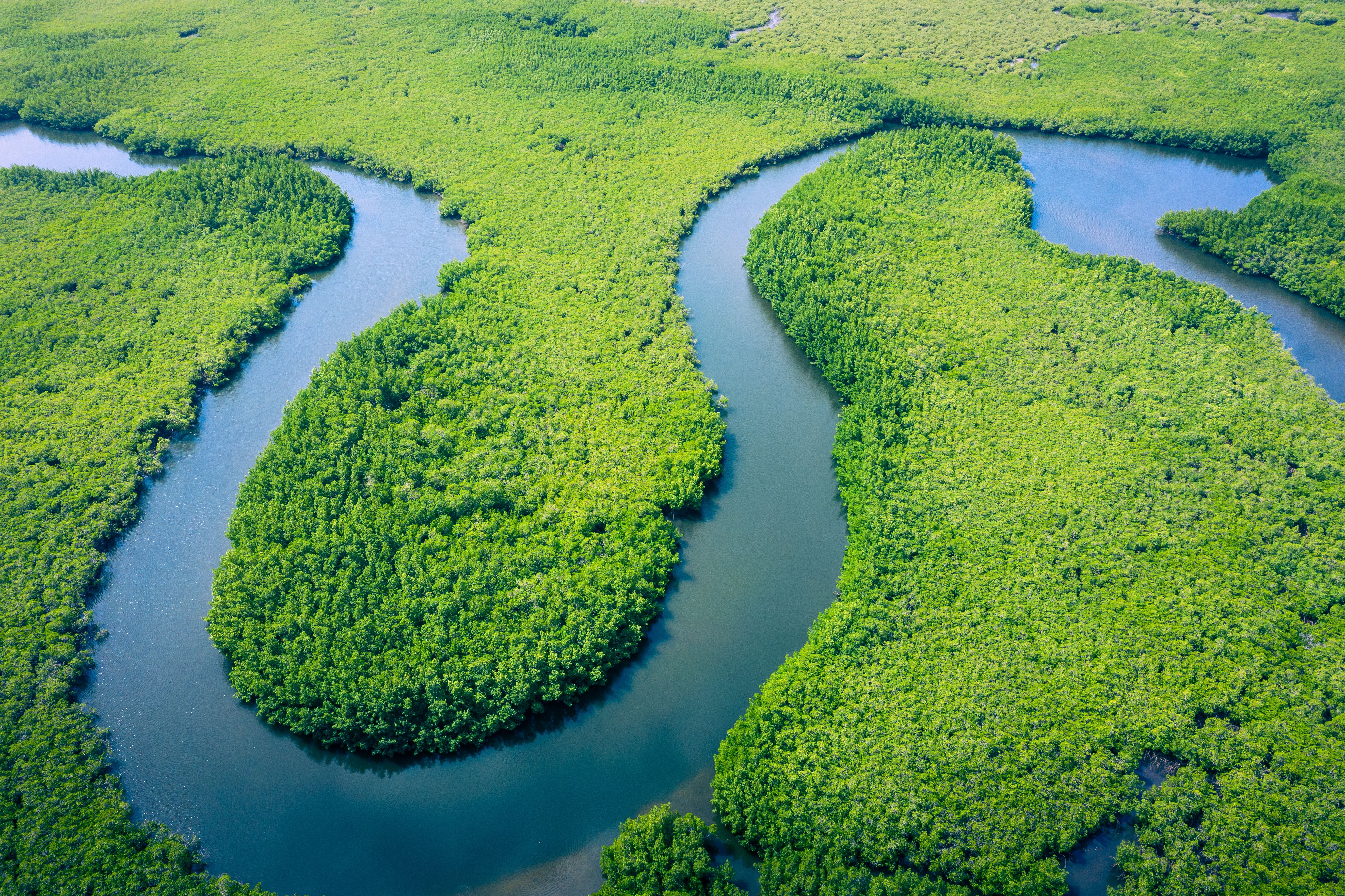 Aerial view of the Amazon rainforest in Brazil
