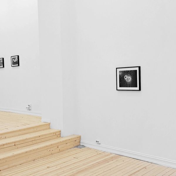 TOPOEMAS and ABSOLUTE FAILURE