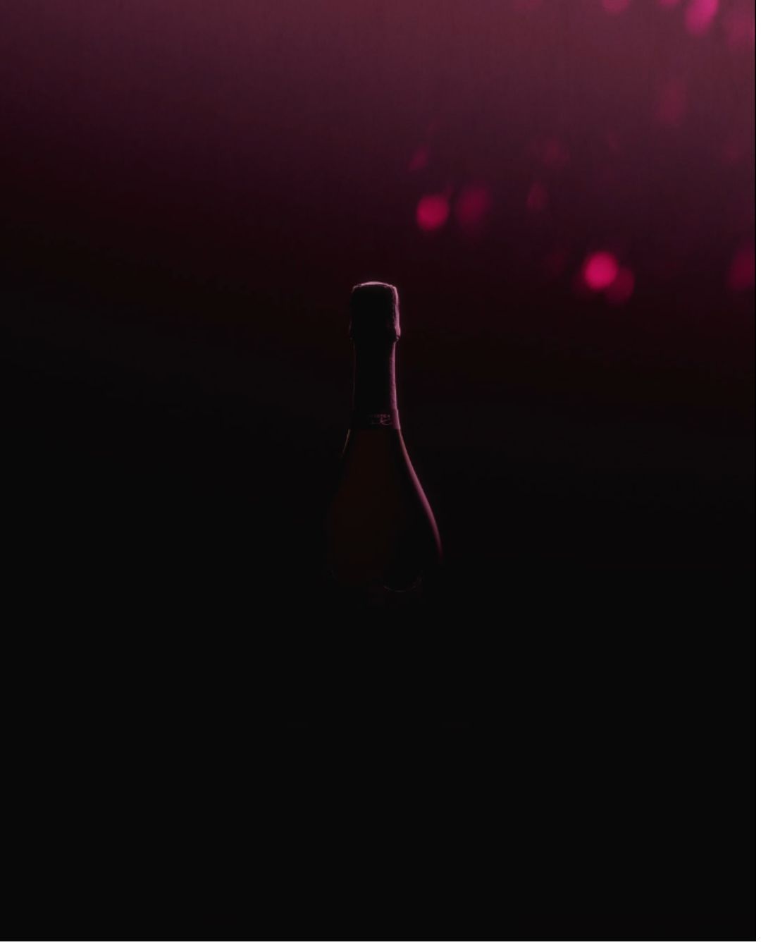 Dom Pérignon x Damien Hirst — Rosé 2010 Limited Edition
