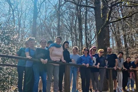 Groep deelnemers op een houten brug in een zonnig bos tijdens een wandeling in de Eifel