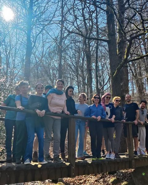 Groep deelnemers op een houten brug in een zonnig bos tijdens een wandeling in de Eifel