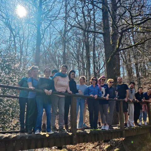 Groep deelnemers op een houten brug in een zonnig bos tijdens een wandeling in de Eifel