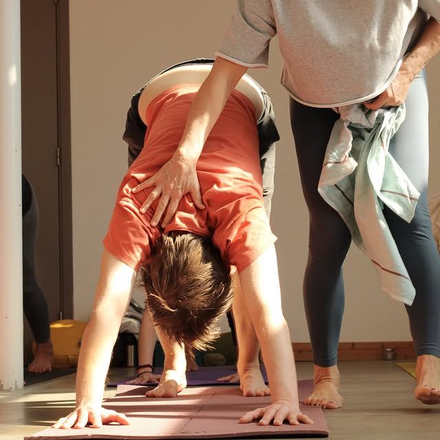 Yogadocent begeleidt met een zachte hand op de rug een deelnemer in neerwaartse hond op de mat