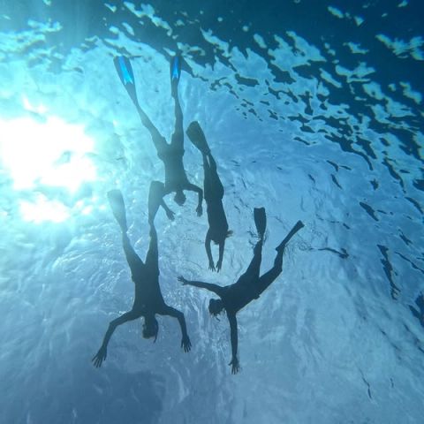 Vier freedivers met vinnen gezien van onderaf in helderblauw water met zonlicht aan het oppervlak