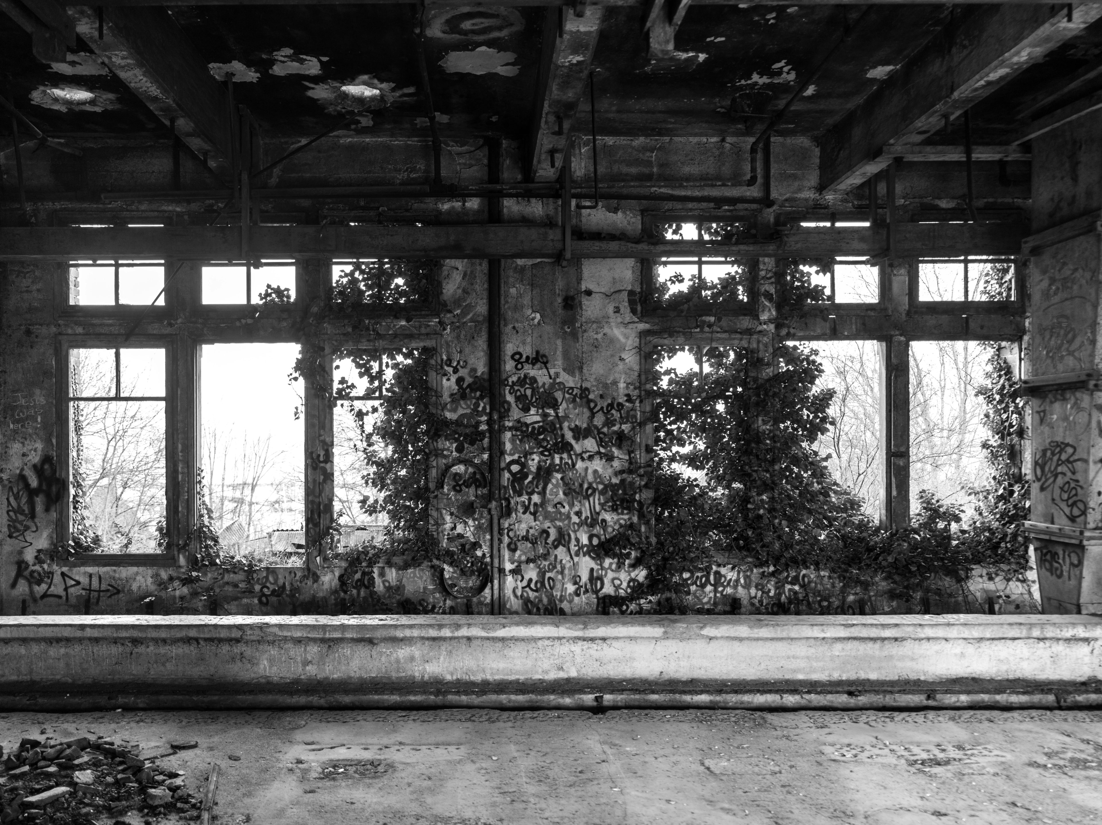 Black and white urbex photograph inside the former mill in Marquette-lez-Lille, showing broken windows, vegetation growing through the walls, graffiti and abandoned industrial architecture.