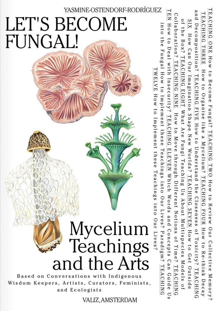 Alla scoperta dei magici e coloratissimi templi nella giungla