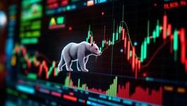 bear-pennant-patroon-regels