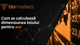 cum-sa-calculezi-dimensiunea-lotului-pentru-aur