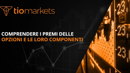 comprendere-premi-opzioni-componenti