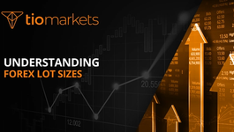 understanding-forex-lot-sizes