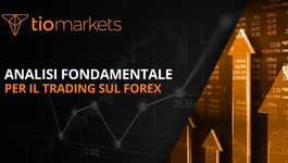 analisi-fondamentale-per-la-guida-al-forex