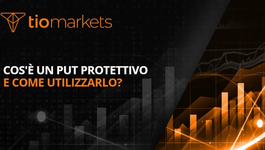 cos-e-un-put-protettivo-come-utilizzarlo