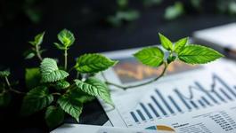 dividendenwachstum-bewerten