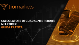 calcolatore-di-guadagni-e-perdite-nel-forex-guida-pratica