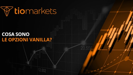 cosa-sono-le-opzioni-vanilla