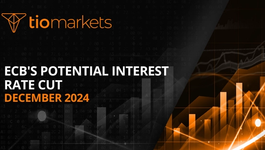 ecb-s-potential-interest-rate-cut-december-2024