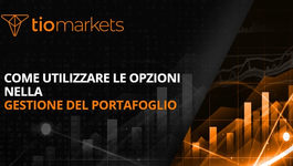 come-utilizzare-opzioni-gestione-portafoglio