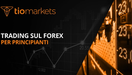 guida-al-trading-sul-forex-per-cominciare