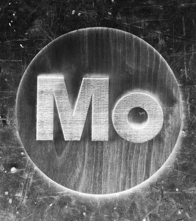 Motion wood logo inverted