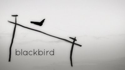 Blackbird Logo Landscape