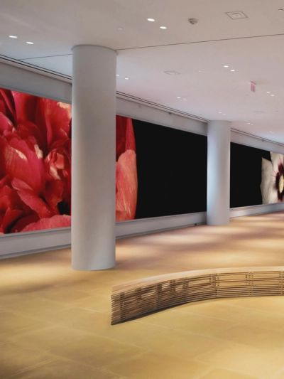 IAC lobby screen with images of flowers blooming