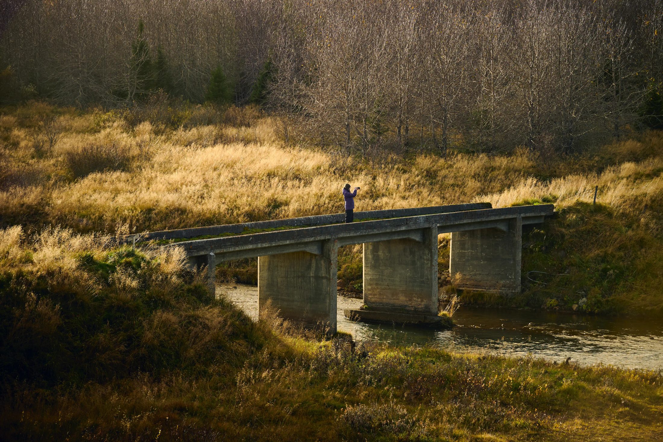 a young woman with a Nikon ZR on a bridge in yellow field