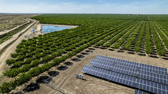 Critical Analysis- Solar Energy Cons