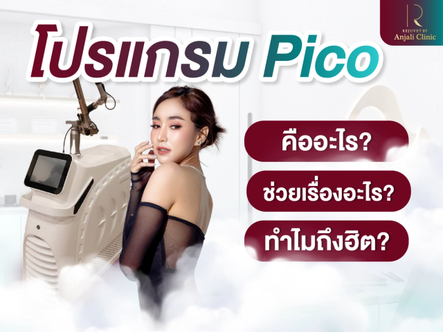 โปรแกรม Pico คืออะไร ? ทำไมถึงฮิตและทำกันเยอะ ?