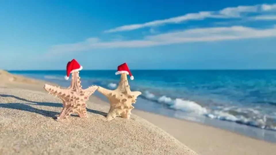 Some tips for a Safer Coromandel Holiday from Coromandel’s CFM photo