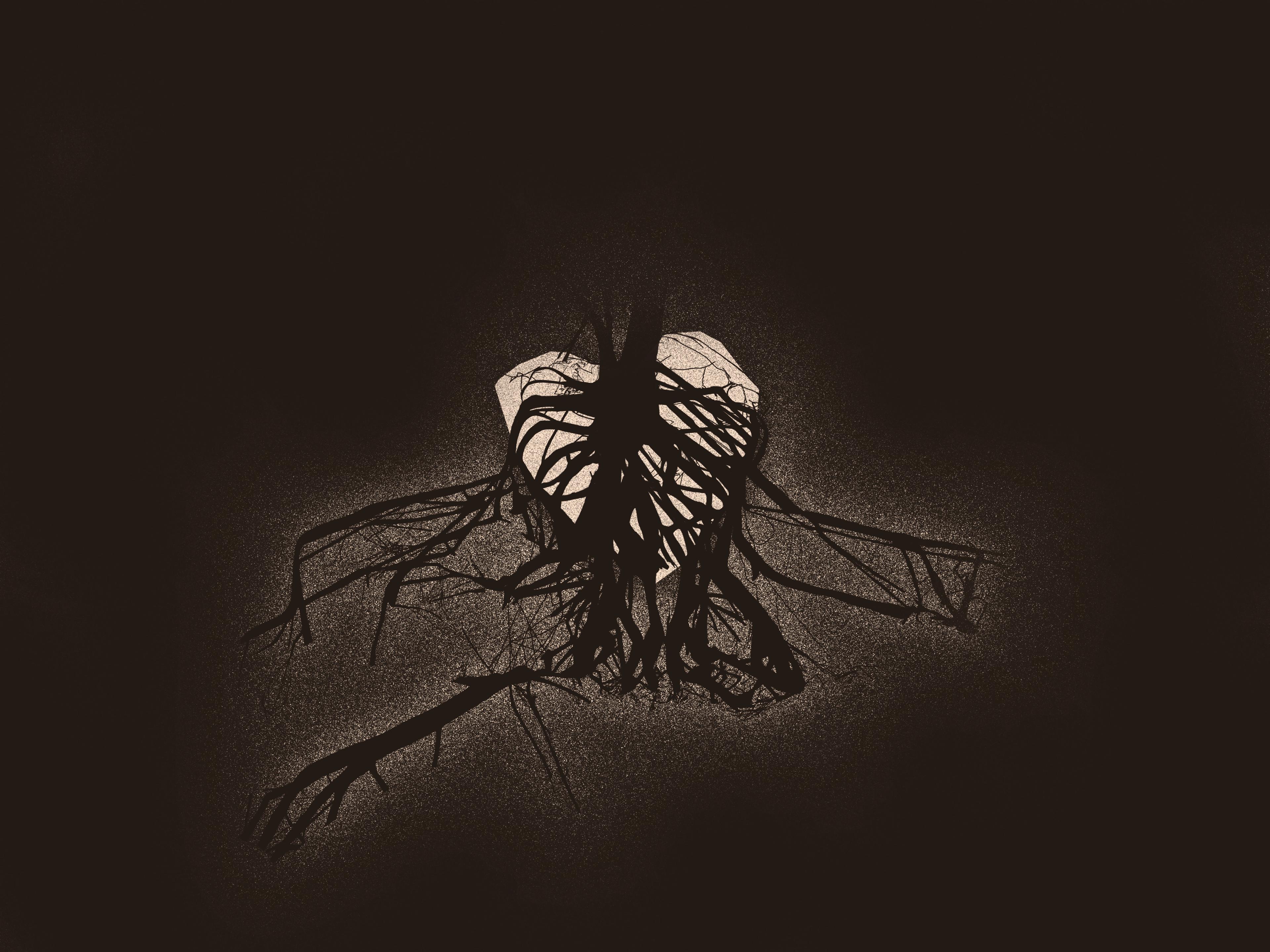 Tree roots growing over a heart-shaped rock, illuminated from behind
