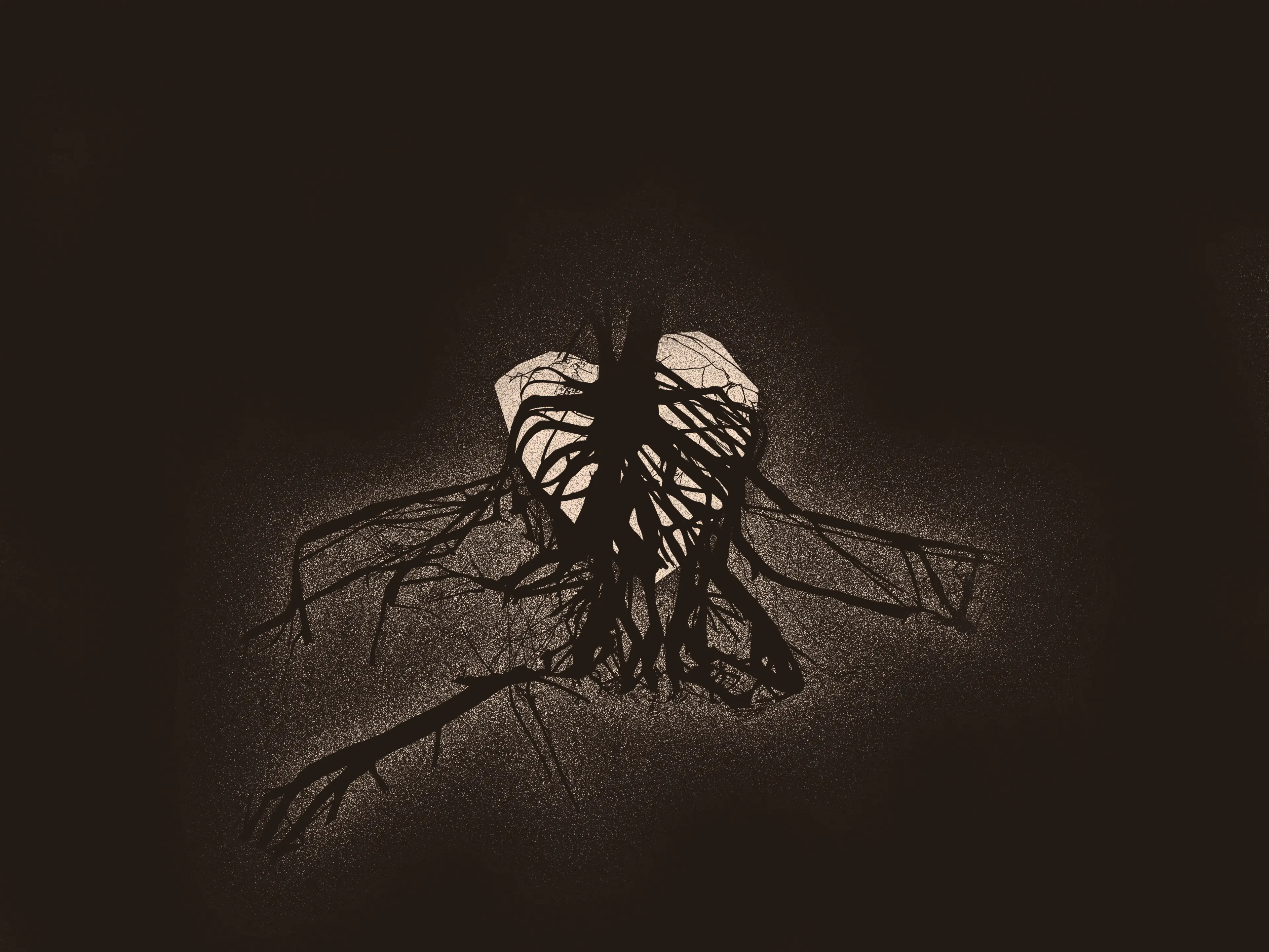 Tree roots growing over a heart-shaped rock, illuminated from behind