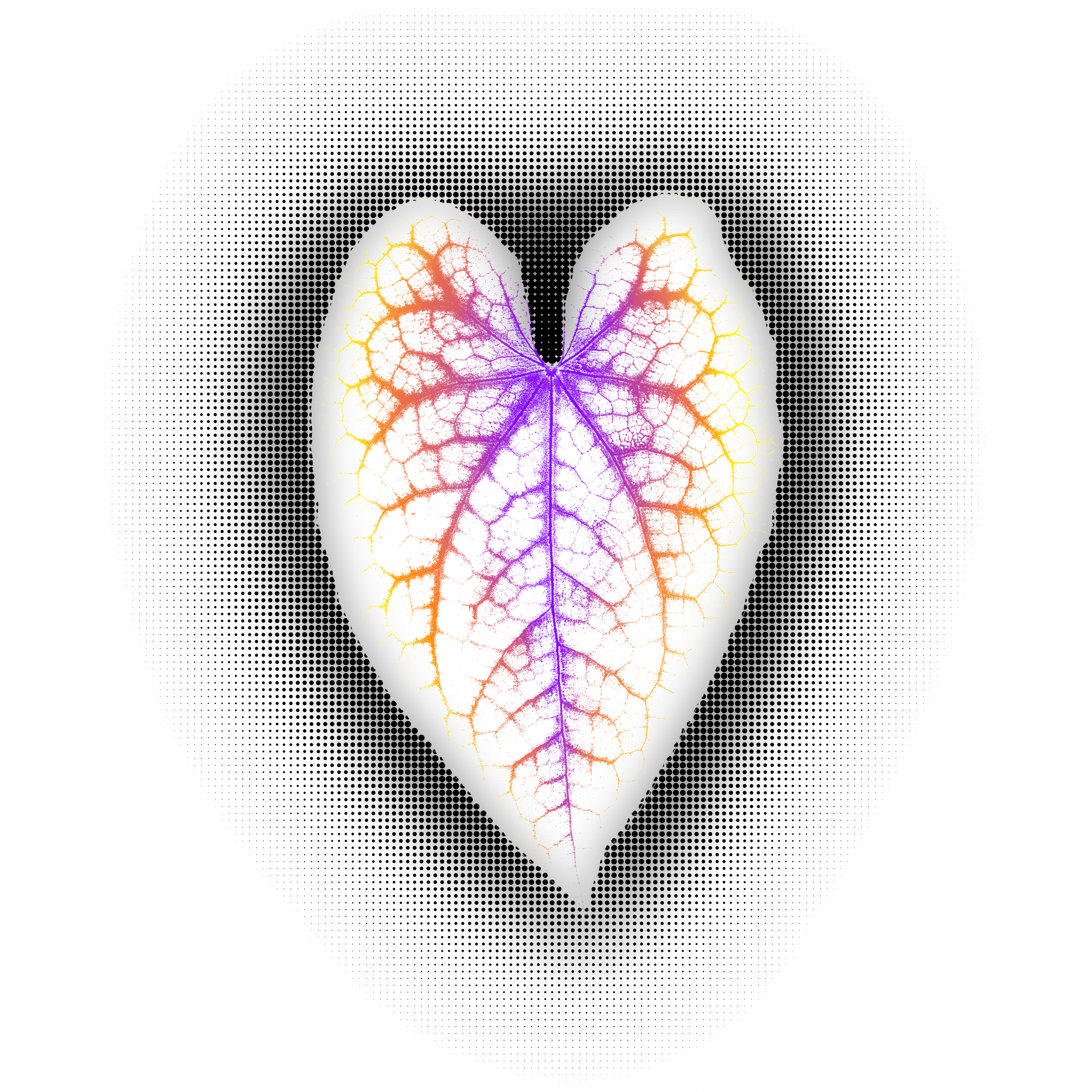 Heart-shaped leaf with delicate colorful veins on a light background