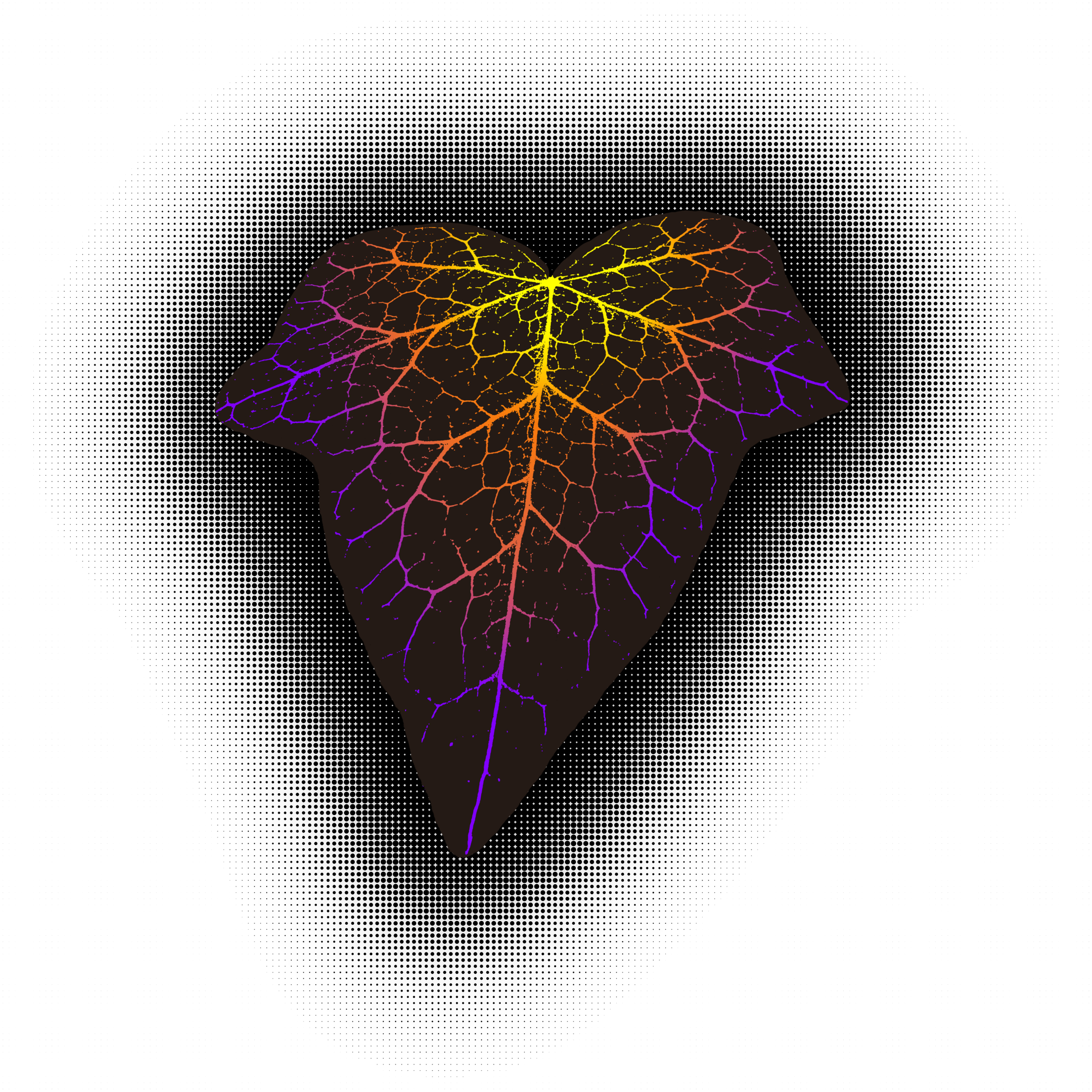 Heart-shaped leaf with glowing veins in rainbow colors against a dark background