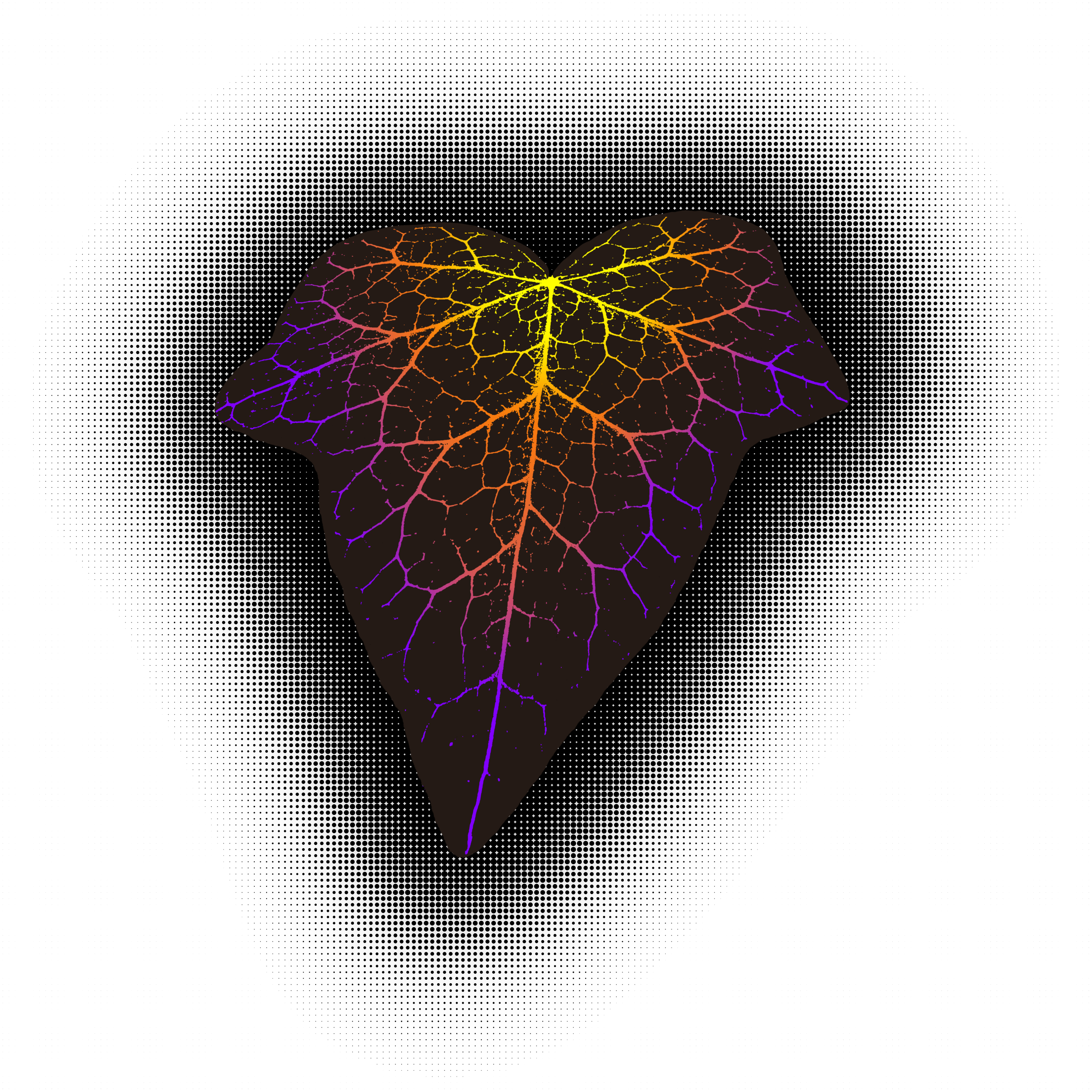 Heart-shaped leaf with glowing veins in rainbow colors against a dark background
