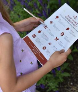 A kid holds a "BEESPONSIBLE SCAVENGER HUNT" sheet.