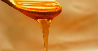 Beautiful honey dripping off of a wooden spoon