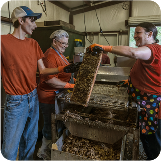 the team working on a hive