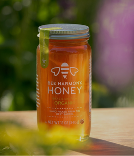 Bee harmony jar in the garden