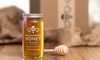 Bee Harmony Honey Jar
