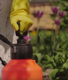 Person wearing a yellow glove with their hand on a pesticide sprayer, in a garden setting