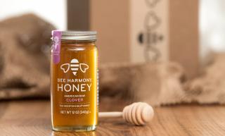Bee Harmony Honey Jar