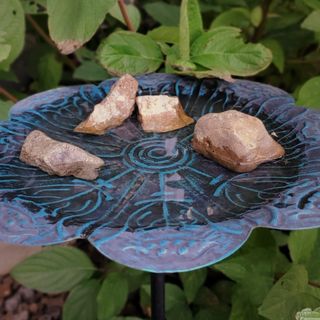 A close-up of a blue birdbath filled with water and several rocks, surrounded by green leaves.
