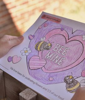 A child holds a "BEE MINE" coloring page with bees, hearts, and text about pollination.