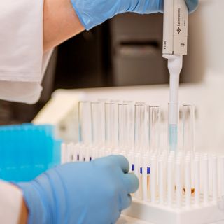 Close-up of a laboratory technician's gloved hands using a pipette to transfer liquid into a row of test tubes in a lab setting.