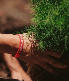 Person's hand with a "BEESPONSIBLE" bracelet putting a plant in the ground